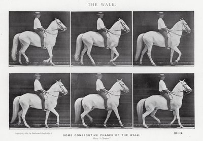 Eadweard Muybridge: Yürüyüş (s/b fotoğraf) by Eadweard Muybridge