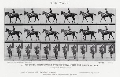Eadweard Muybridge: Yürüyüş (s/b fotoğraf) by Eadweard Muybridge