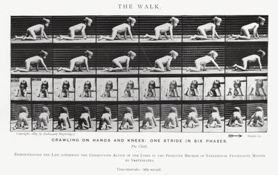 Eadweard Muybridge: Yürüyüş (s/b fotoğraf) by Eadweard Muybridge