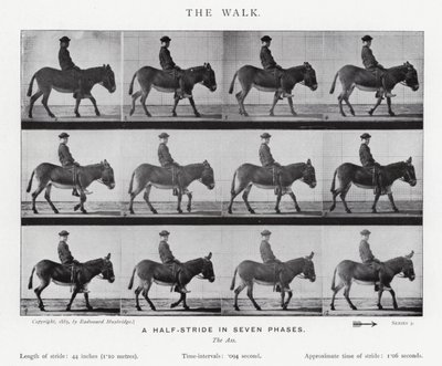 Eadweard Muybridge: Yürüyüş (s/b fotoğraf) by Eadweard Muybridge