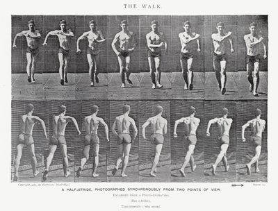 Eadweard Muybridge: Yürüyüş (s/b fotoğraf) by Eadweard Muybridge