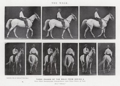 Eadweard Muybridge: Yürüyüş (s/b fotoğraf) by Eadweard Muybridge