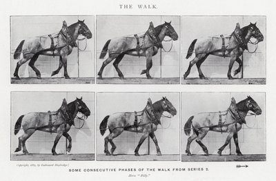 Eadweard Muybridge: Yürüyüş (s/b fotoğraf) by Eadweard Muybridge
