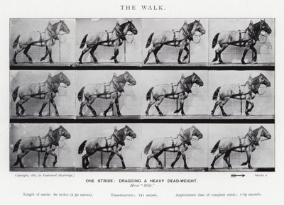 Eadweard Muybridge: Yürüyüş by Eadweard Muybridge