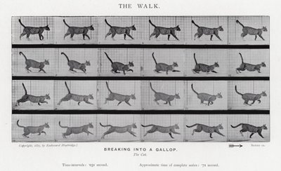 Eadweard Muybridge: Yürüyüş by Eadweard Muybridge