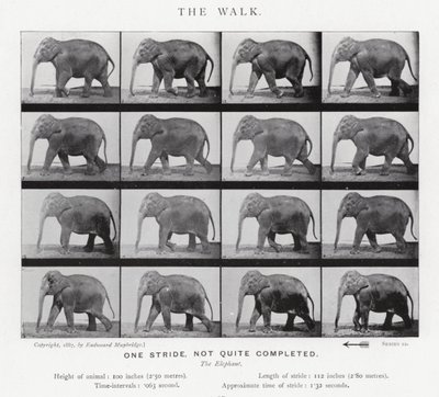 Eadweard Muybridge: Yürüyüş by Eadweard Muybridge