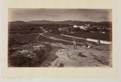  by Eadweard Muybridge