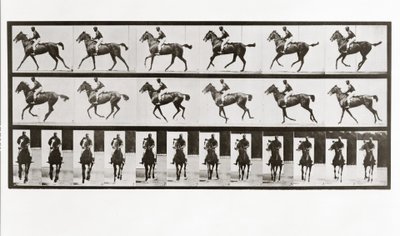 At ve Binici, Hayvan Hareketinden Plaka 621, 1887 by Eadweard Muybridge
