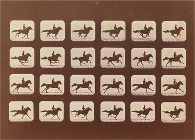 Atlar. Koşma. Phyrne L. No. 40 by Eadweard Muybridge
