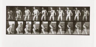 Dambıl kaldıran adam, Animal Locomotion