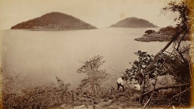  by Eadweard Muybridge