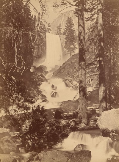  by Eadweard Muybridge