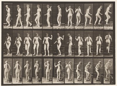 Levha 101. Dönen ve Çıkan Merdivenler, El Sallayarak, 1872-1885 by Eadweard Muybridge
