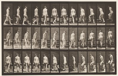Levha 104. Dönen ve Çıkan Merdivenler, İki Elinde Kova Su, 1872-1885 by Eadweard Muybridge
