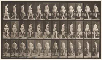 Levha 106. Merdivenleri Çıkmak İçin Dönmek, İki Elinde Bir Kova Su, 1872-1885 by Eadweard Muybridge