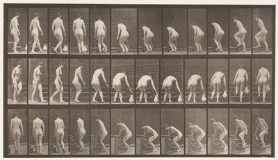 Levha 108. Merdivenleri Çıkmak İçin Dönmek, Eğilmek, Sürahiyi Kaldırmak, 1872-1885 by Eadweard Muybridge