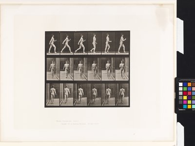 Plaka 10. Yürüyüş by Eadweard Muybridge