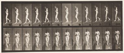 Plaka 115. Eller Önde Birleştirilmiş Olarak Azalan Eğim by Eadweard Muybridge