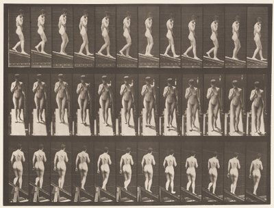 Plaka 116. Azalan Eğim, Bir El Çene Üzerinde by Eadweard Muybridge