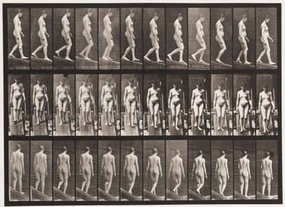 Plaka 117. Azalan Eğim, 1872-1885 by Eadweard Muybridge