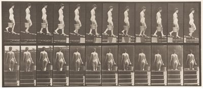 Levha 120. Azalan Eğim, Sağ Elden Su Kovası, 1872-1885 by Eadweard Muybridge