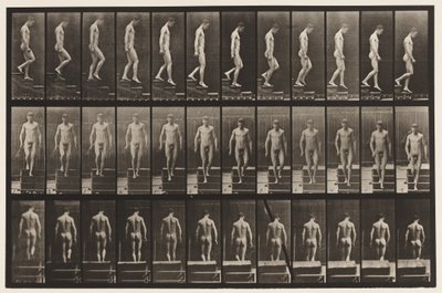 Plaka 125. İnen Merdivenler by Eadweard Muybridge