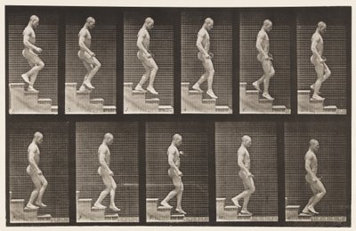 Plaka 126. İnen Merdivenler by Eadweard Muybridge