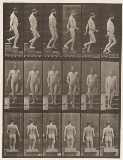 Levha 127. İnen Merdivenler, 1872-1885 by Eadweard Muybridge