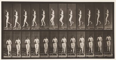 Levha 128. İnen Merdivenler, Eller Sıkışmış, 1872-1885 by Eadweard Muybridge