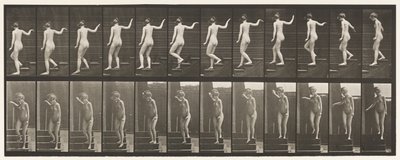 Plaka 132. İnen Merdivenler, Dönüp Etrafa Bakmak ve El Sallamak by Eadweard Muybridge