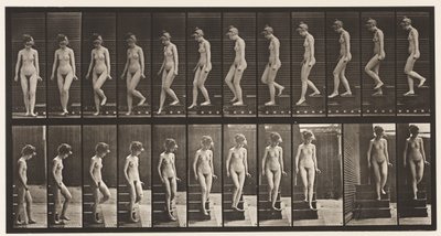 Levha 137. İnen Merdivenler, Dönme by Eadweard Muybridge
