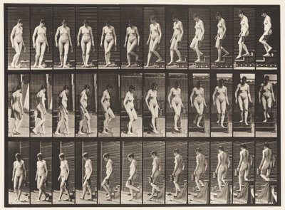 Plaka 138. Dönen Merdivenlerden İnen; Sol Eldeki Sürahi by Eadweard Muybridge