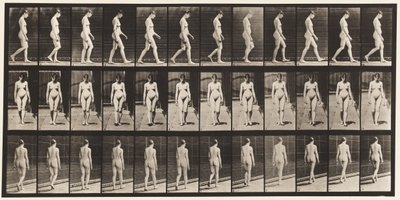 Plaka 13. Yürüyüş, 1872-1885 by Eadweard Muybridge