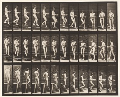 Plaka 144. İnen Merdivenler; Elinde Dönen Lavabo by Eadweard Muybridge