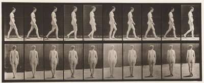 Plaka 15. Yürüyüş by Eadweard Muybridge