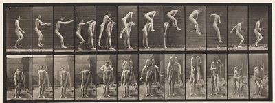 Plaka 166. Zıplama; Adamın Arkasında by Eadweard Muybridge