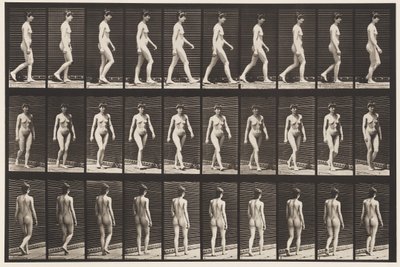 Plaka 16. Yürüyüş, 1872-1885 by Eadweard Muybridge