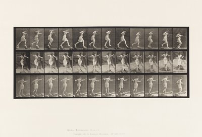 Levha 175. Basamak Taşları Üzerinde Olta ve Teneke İle Dere Geçişi by Eadweard Muybridge