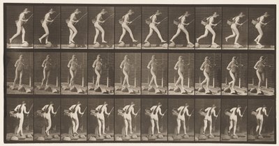 Levha 177. Basamak Taşlarında Olta ve Sepetle Dere Geçişi by Eadweard Muybridge