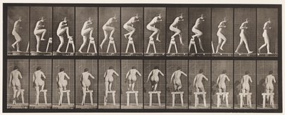 Plaka 178. Bir Sehpanın Üzerine Basmak ve Üzerine Basmak by Eadweard Muybridge