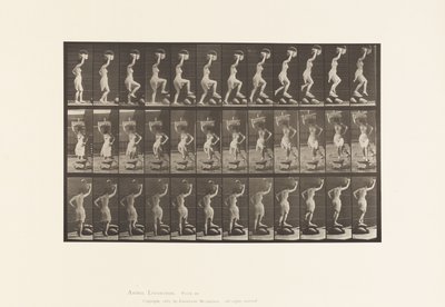 Levha 179. Bir Kayanın Üstüne Basmak, Kafada Bir Sepet by Eadweard Muybridge