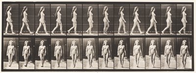 Plaka 17. Yürüyüş, 1872-1885 by Eadweard Muybridge