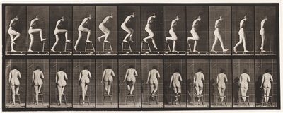 Plaka 180. Sandalyeye Basmak ve Üzerine Basmak by Eadweard Muybridge