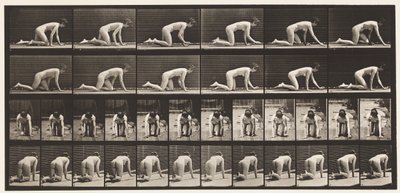Levha 182. Eller ve Dizler Üzerinde Emekleme by Eadweard Muybridge