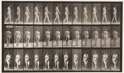 Plaka 18. Yürüyüş, Sol El Karın Karşısında, 1872-1885 by Eadweard Muybridge
