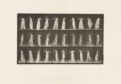 Plaka 194.Dans, 1885 by Eadweard Muybridge
