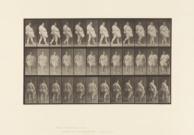 Plaka 19. Yürüyüş, Dönmeye Başlama by Eadweard Muybridge