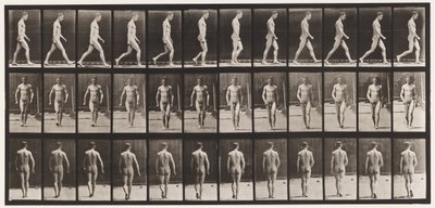 Plaka 1. Yürüyüş by Eadweard Muybridge