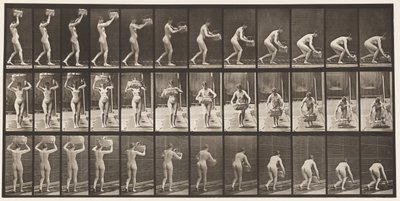Levha 201. 12 librelik Sepeti Baştan Almak, Yere Koymak, 1872-1885 by Eadweard Muybridge
