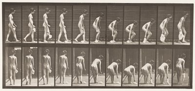 Levha 202. Mendil Bırakma ve Kaldırma by Eadweard Muybridge